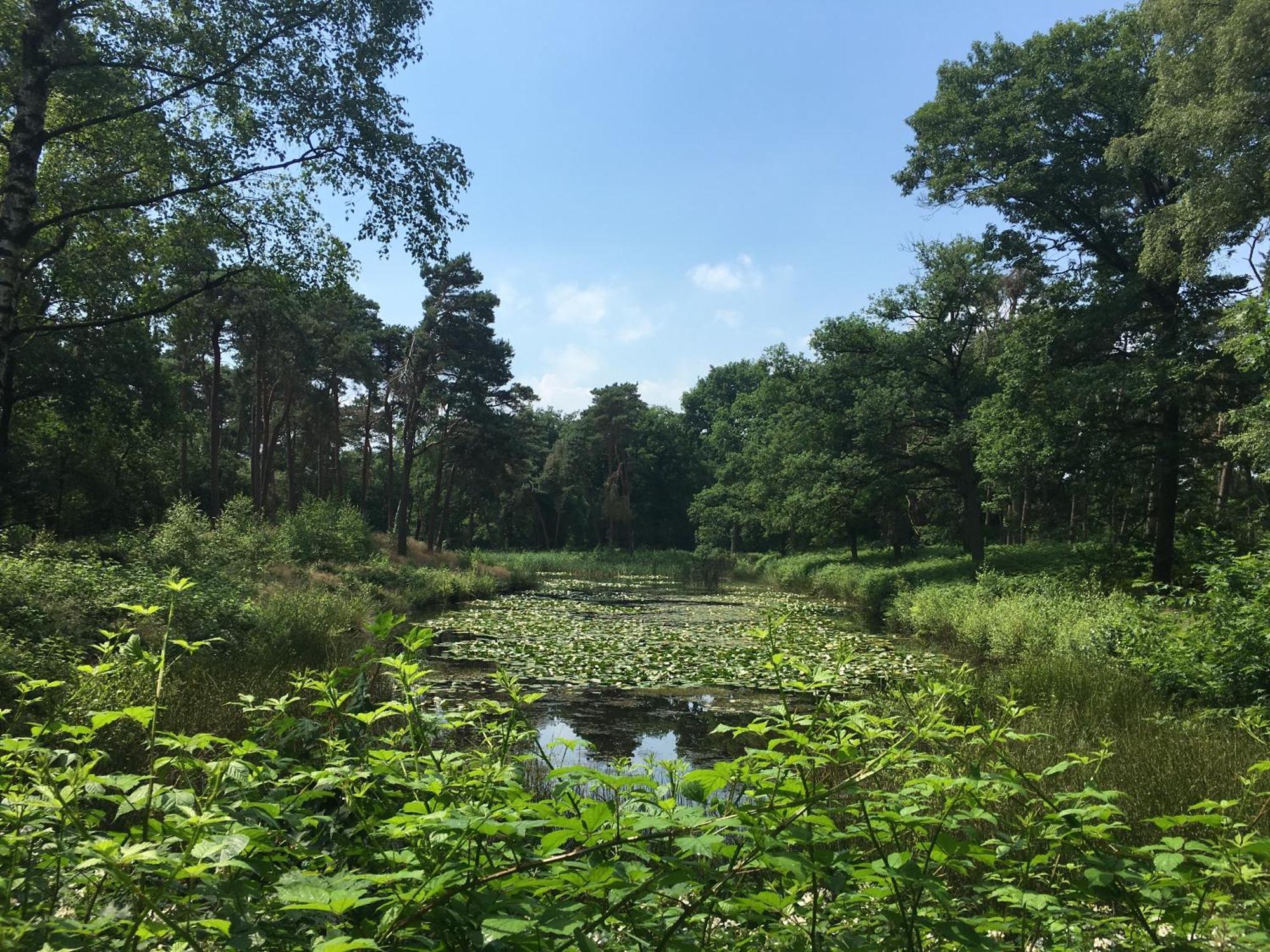 Hotel Kapellerput Heeze-Eindhoven Екстериор снимка
